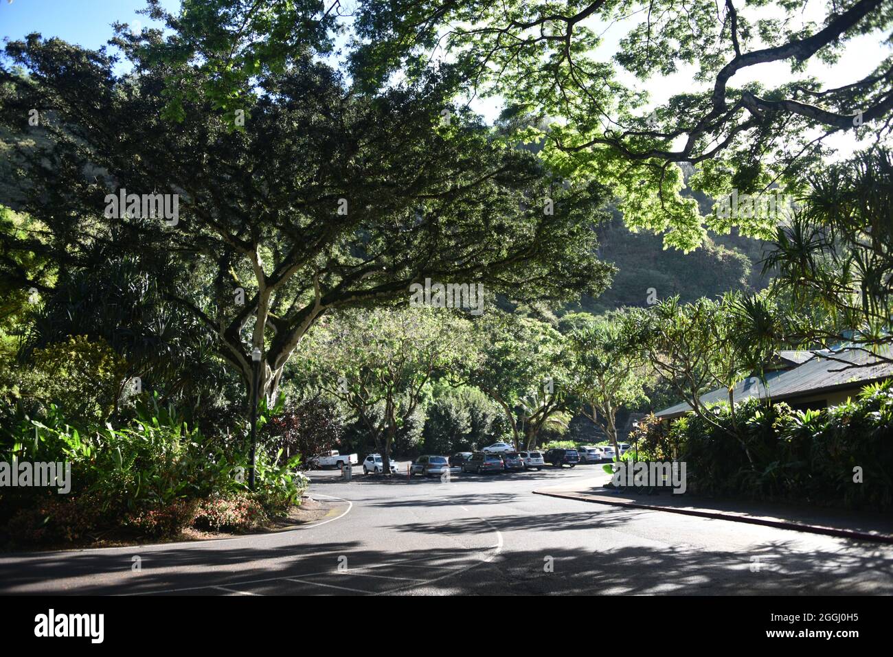 Oahu, HI U.S.A. 6/4&7/2021. Waimea Valley Visitors Center. Waimea