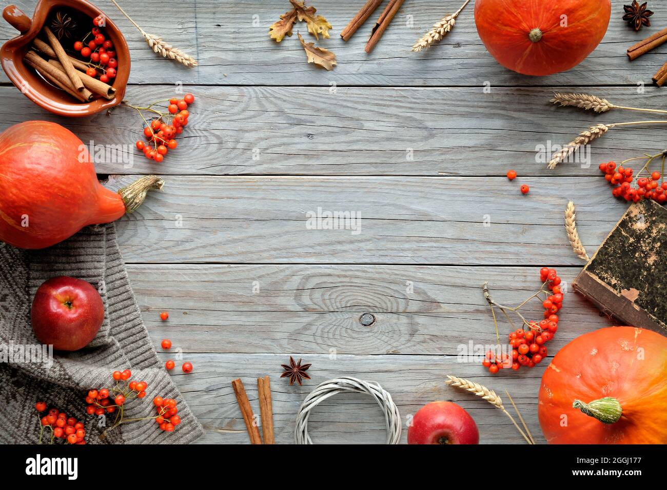 Thanksgiving decorations. Orange Hokkaido pumpkins, rowan berry, apples, cinnamon and frame made from Autumn decorations. Flat lay, top view with copy Stock Photo