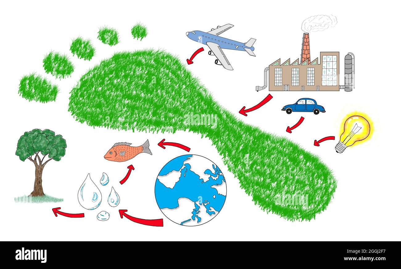 Carbon footprint concept drawn on a white background Stock Photo - Alamy