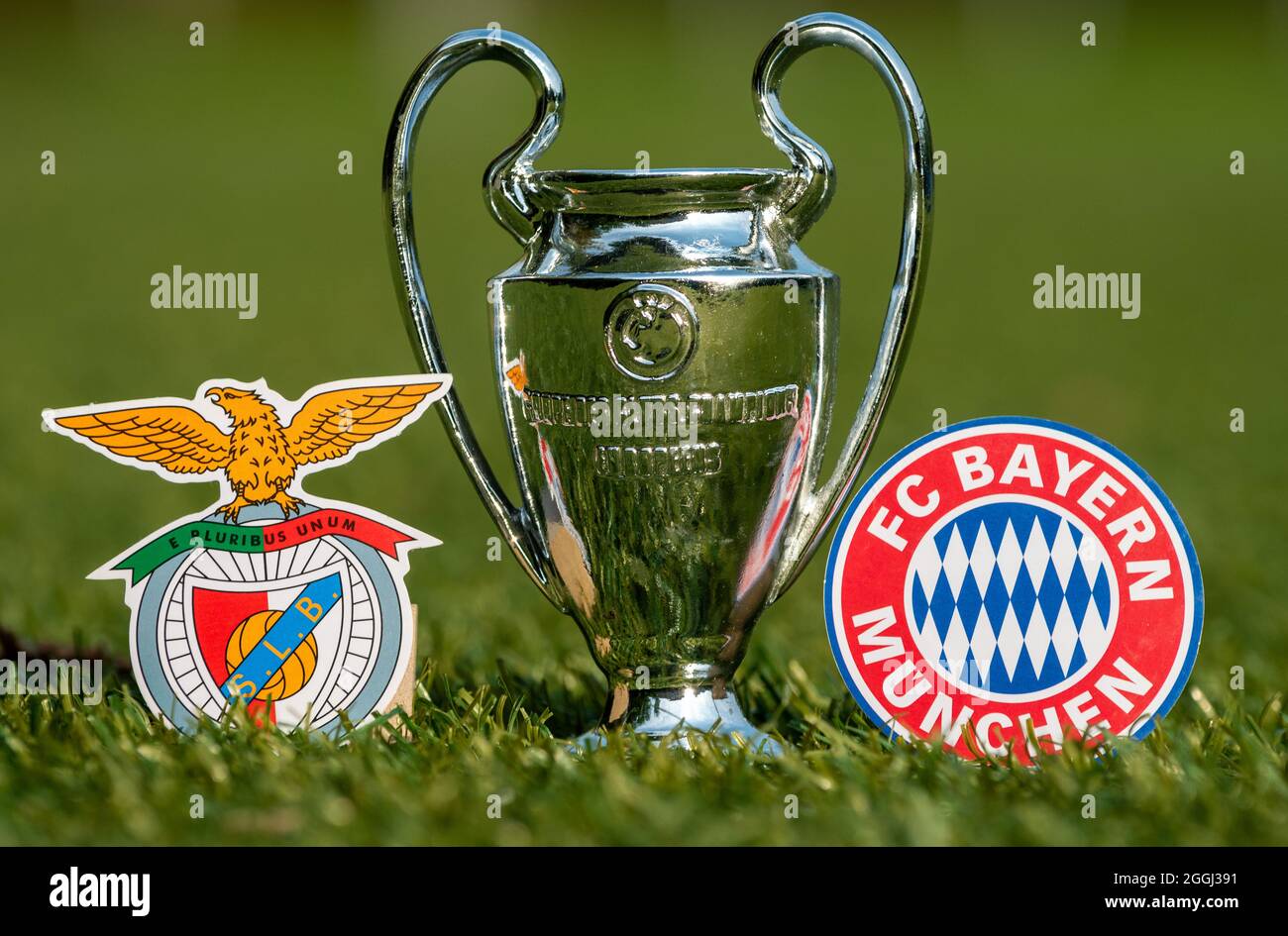 Champions Cup Trophy Icon Sign Hi Res Stock Photography And Images Alamy Champions Cup Trophy Icon Sign Hi Res Stock Photography And Images Alamy