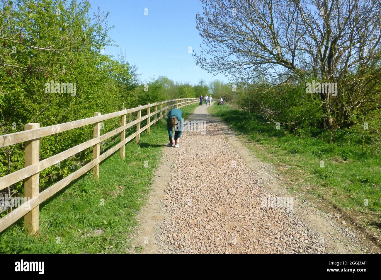 Summer Leys Northamptonshire walker gavel grit path pathway track fence fencing tree trees line old train track bend walkers outside trees views view Stock Photo