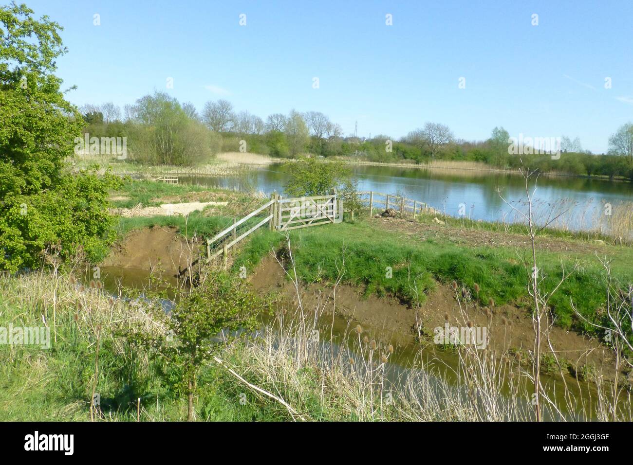 Summer Leys Northamptonshire fence broken water lake pond fencing flooded view views reflection countryside trees tree green burnt boggy bog  gate Stock Photo