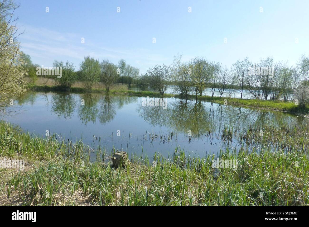 Summer Leys Northamptonshire food flooded water lake pond stream reflected reflection beautiful trees tree grass green lonely nobody cold Stock Photo