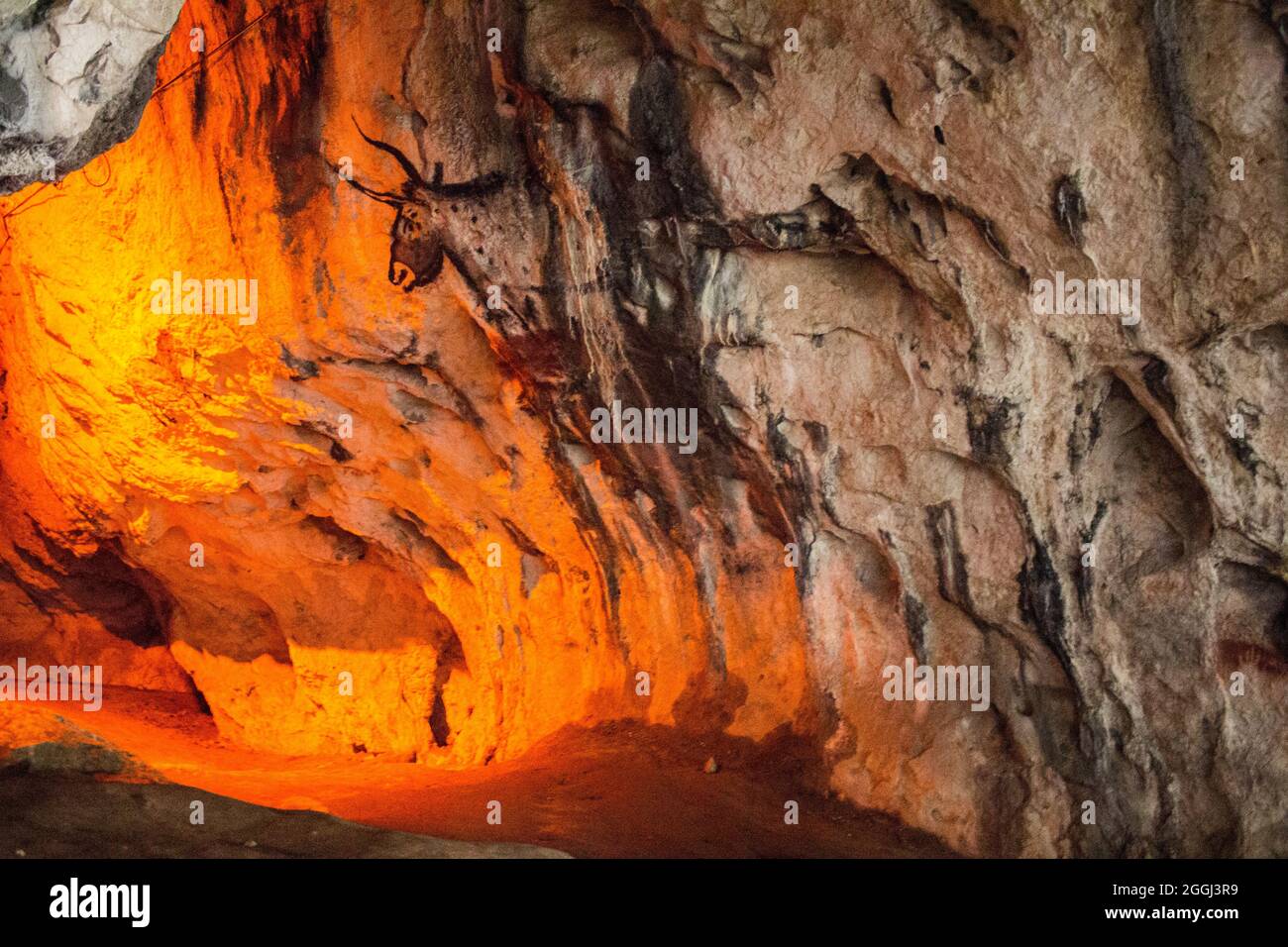 A painting, illustrating an aurochs, created during the prehistoric era, in a deep cave in Romania. Stock Photo