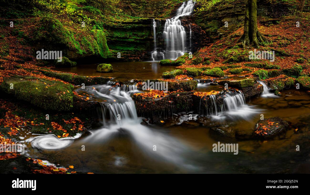 beautiful photograph of a forest with a beautiful waterfall Stock Photo ...