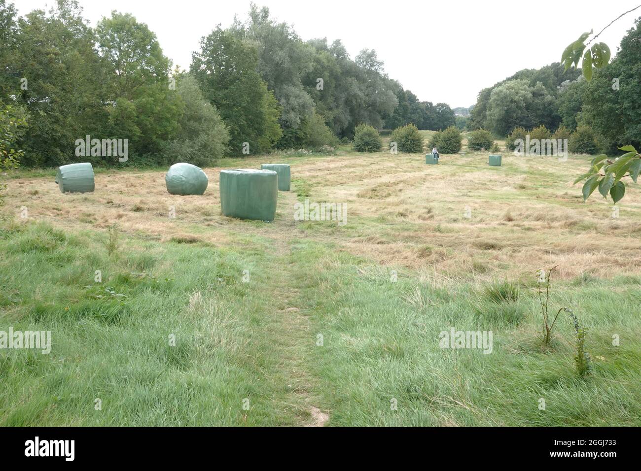 Earlswood common hires stock photography and images Alamy