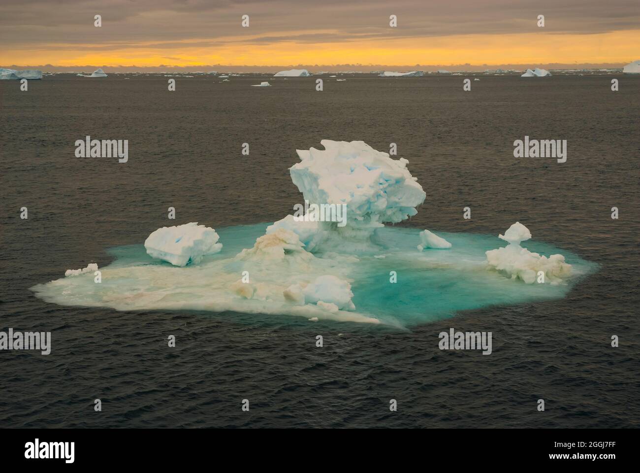 Floating Icebergs Near Antarctic Peninsula Antartica Stock Photo Alamy floating-icebergs-near-antarctic-peninsula-antartica-stock-photo-alamy