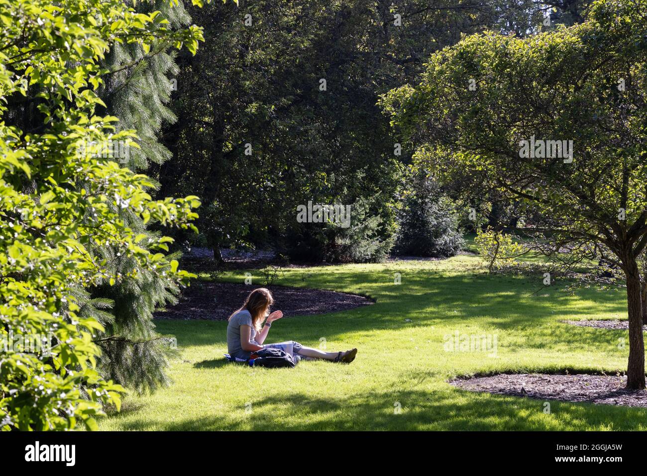 One woman sitting reading in a garden in summer sunshine, Concept - peace, quiet, calm, tranquility, solitude;  UK Stock Photo