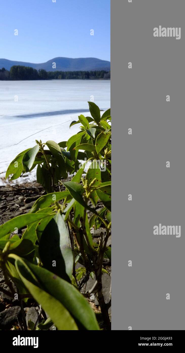 Lake Hill, NY. Cooper Lake, drinking water supply for the City of