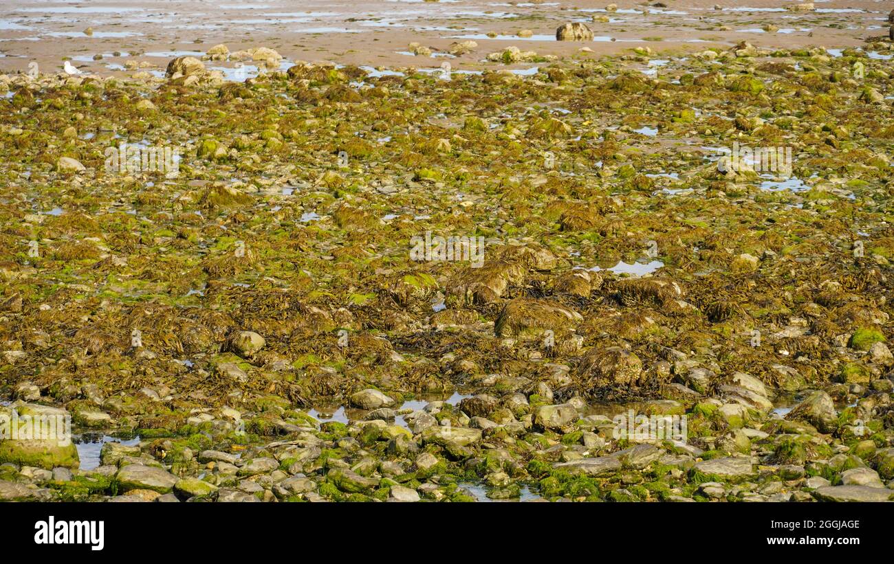 Beautiful natural landscape shot hi-res stock photography and images ...