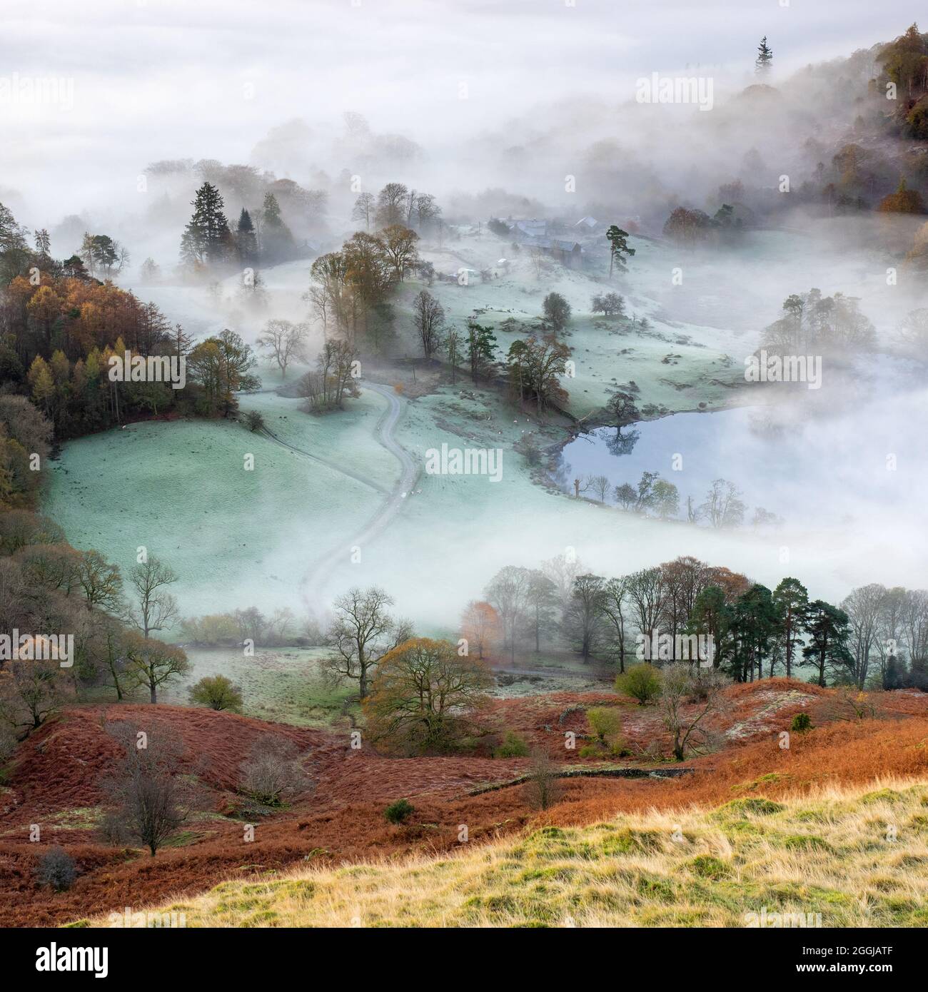 A layer of mist covers the frosty landscape around Loughrigg Tarn on a chilly autumn morning in the English Lake District, moments before sunrise. Stock Photo