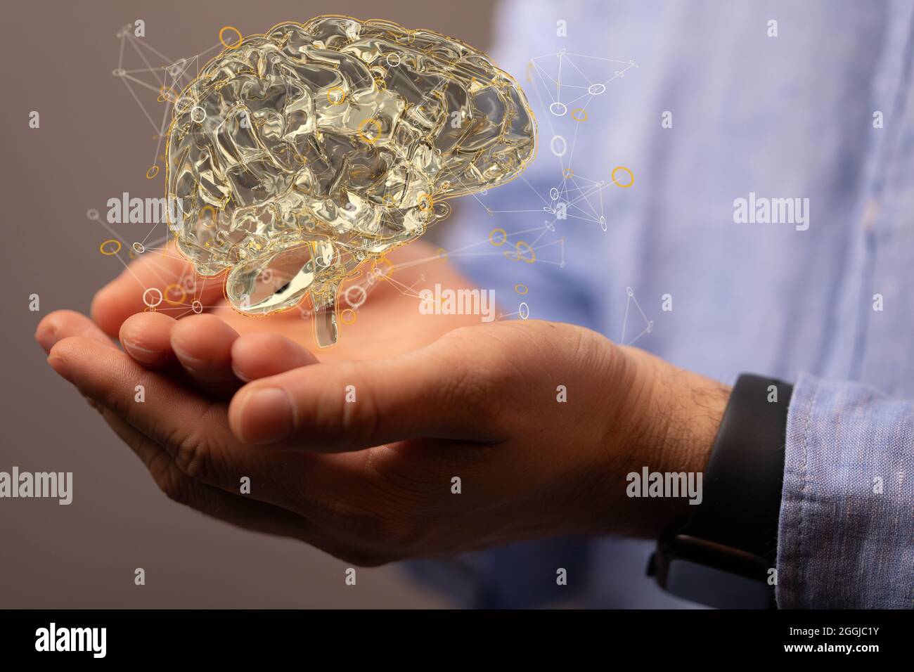 Closeup of a 3D rendered human brain hologram on a man's hand Stock ...