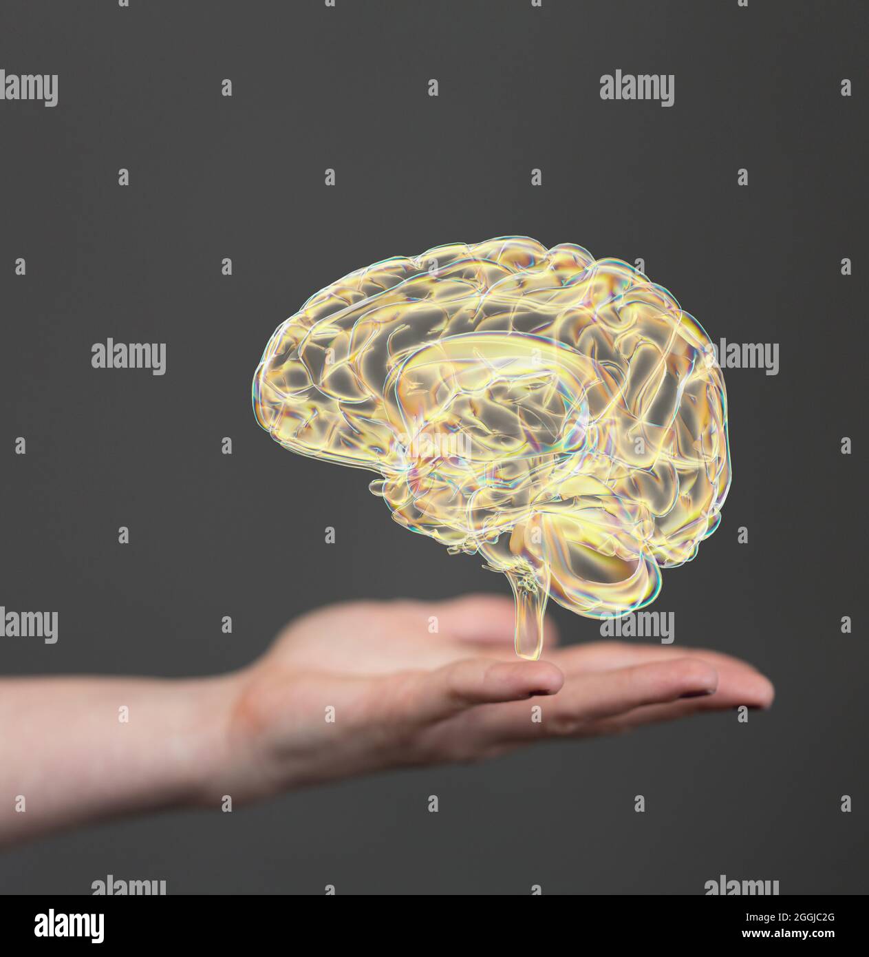 Closeup of a 3D rendered human brain hologram on a man's hand Stock ...
