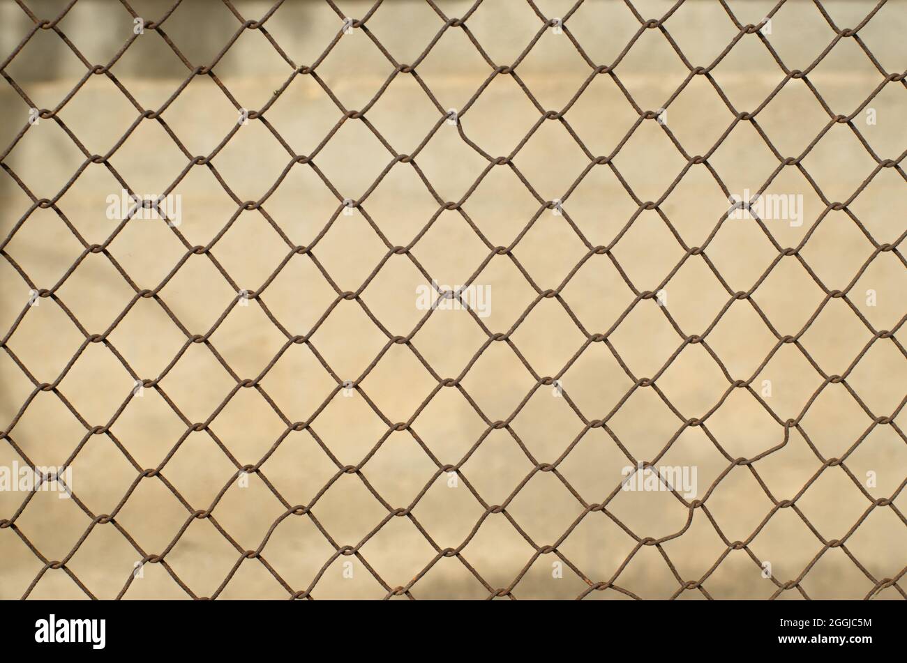 imperfect rusty wire mesh fence. concept of prohibited freedom. wallpaper idea Stock Photo