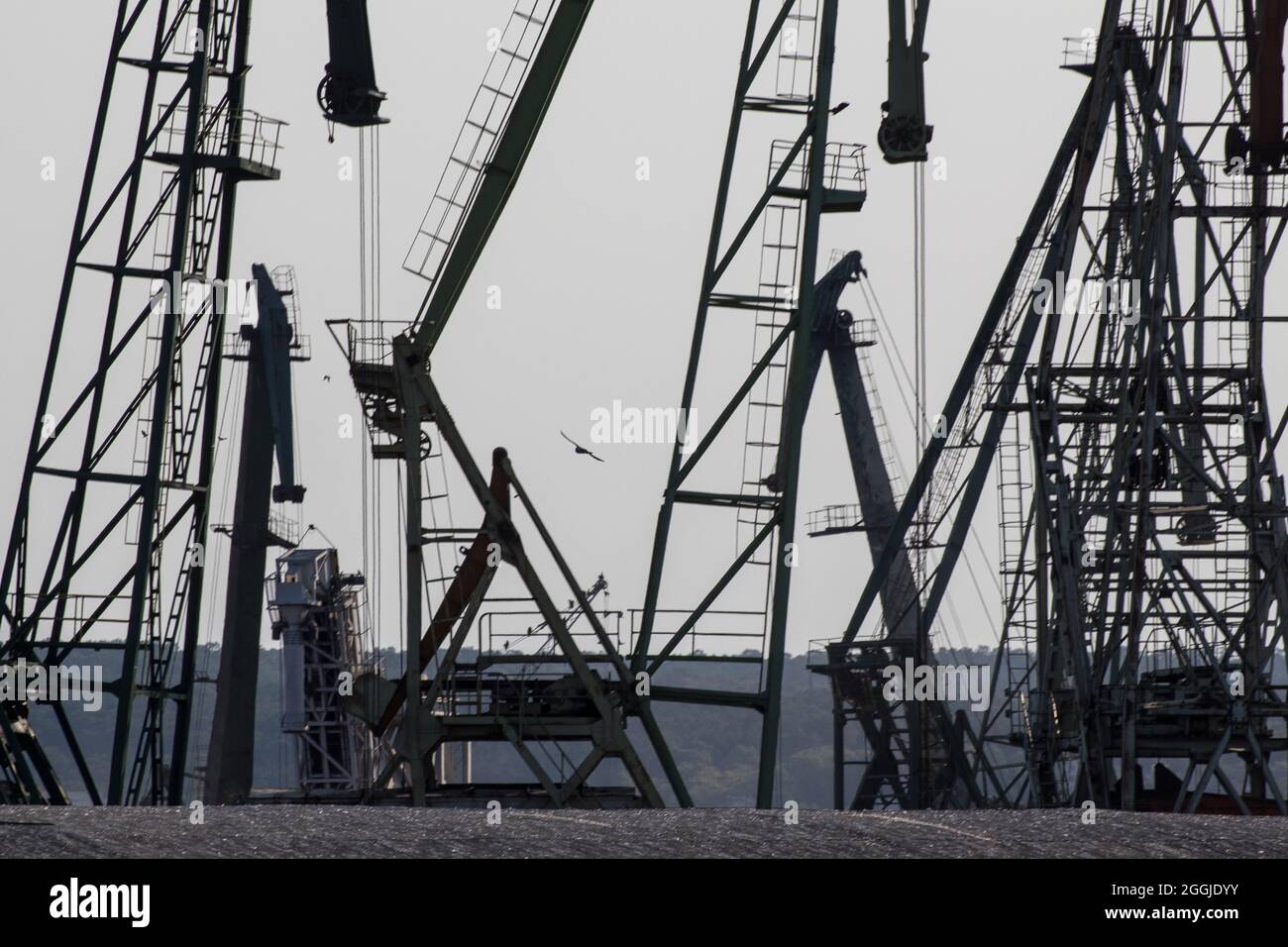 Cranes of Varna Commercial Harbor. Stock Photo