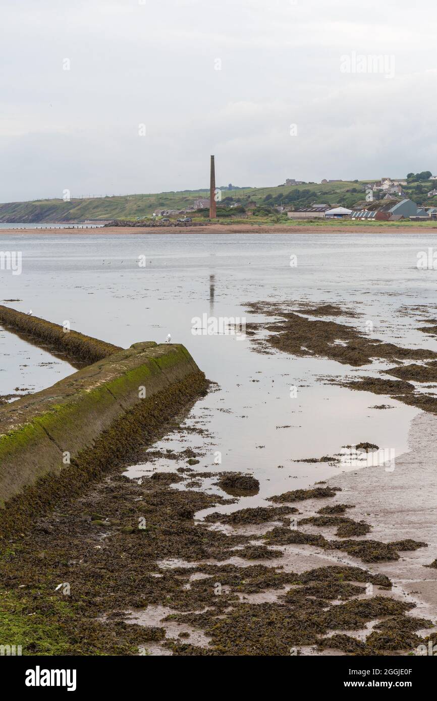 The river Tweed at Berwick-upon-Tweed, during the summer of 2014 Stock Photo