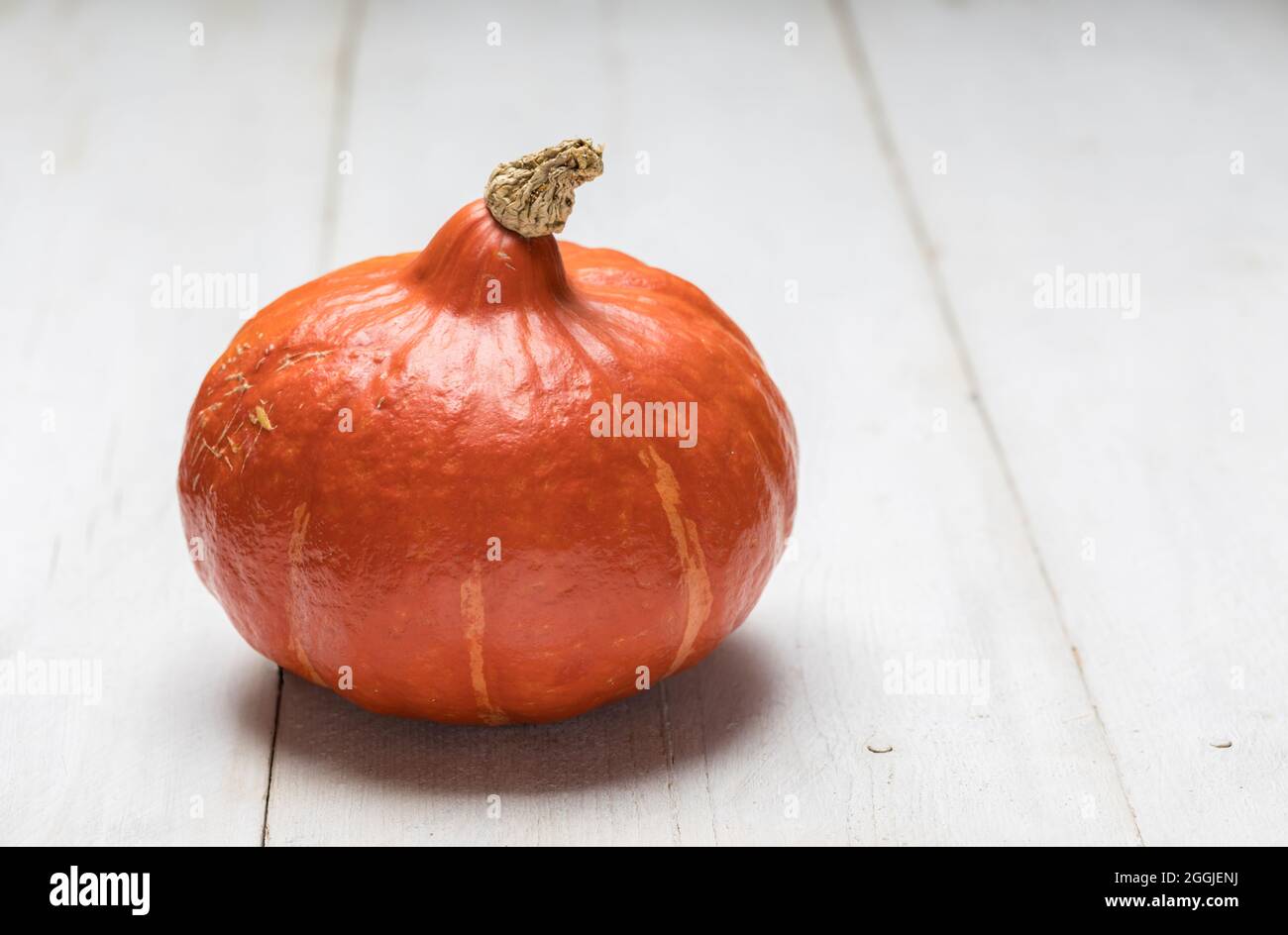 Pumpkin on white wooden background with copy space Stock Photo