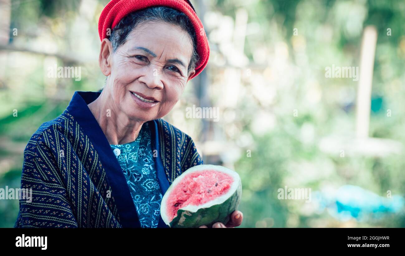 Asian Elderly Woman Happily Eating Natural Fruit Concept Of Nature asian-elderly-woman-happily-eating-natural-fruit-concept-of-nature