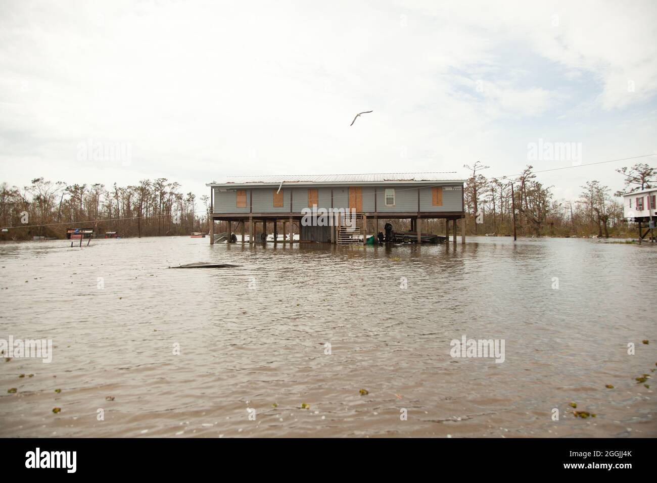 Pointe aux chene hires stock photography and images Alamy