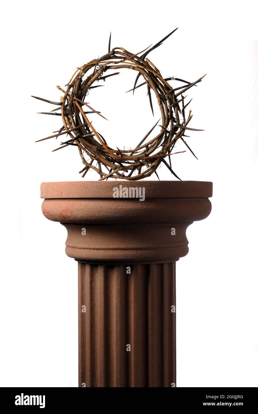 The real crown of thorns hi-res stock photography and images - Alamy