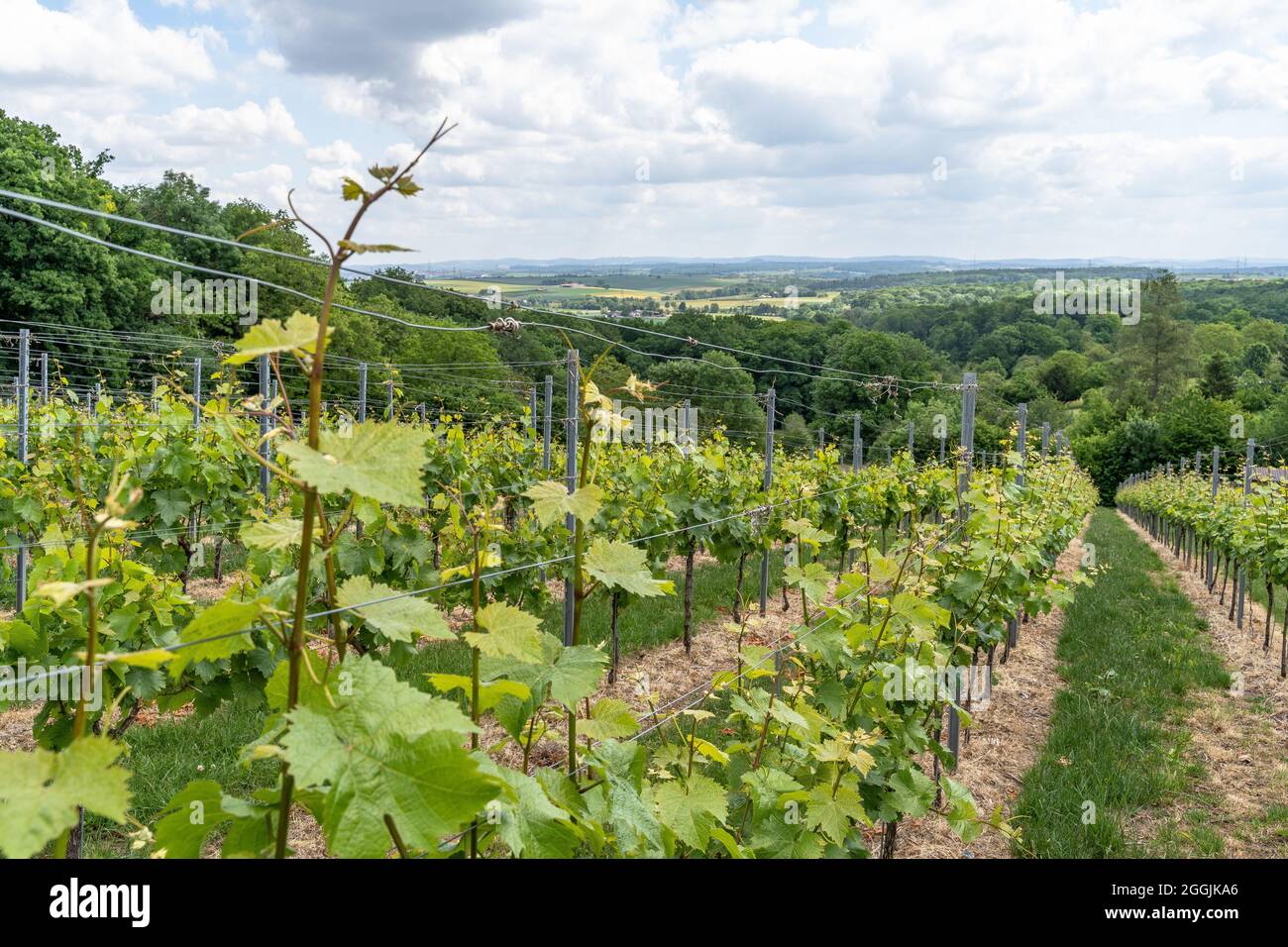 Lochgau hires stock photography and images Alamy
