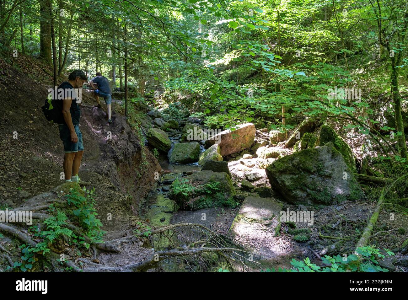 Europe, Germany, Baden-Wuerttemberg, Swabian Forest, Murrhardt, hikers on an impassable path in the Hörschbach Gorge Stock Photo