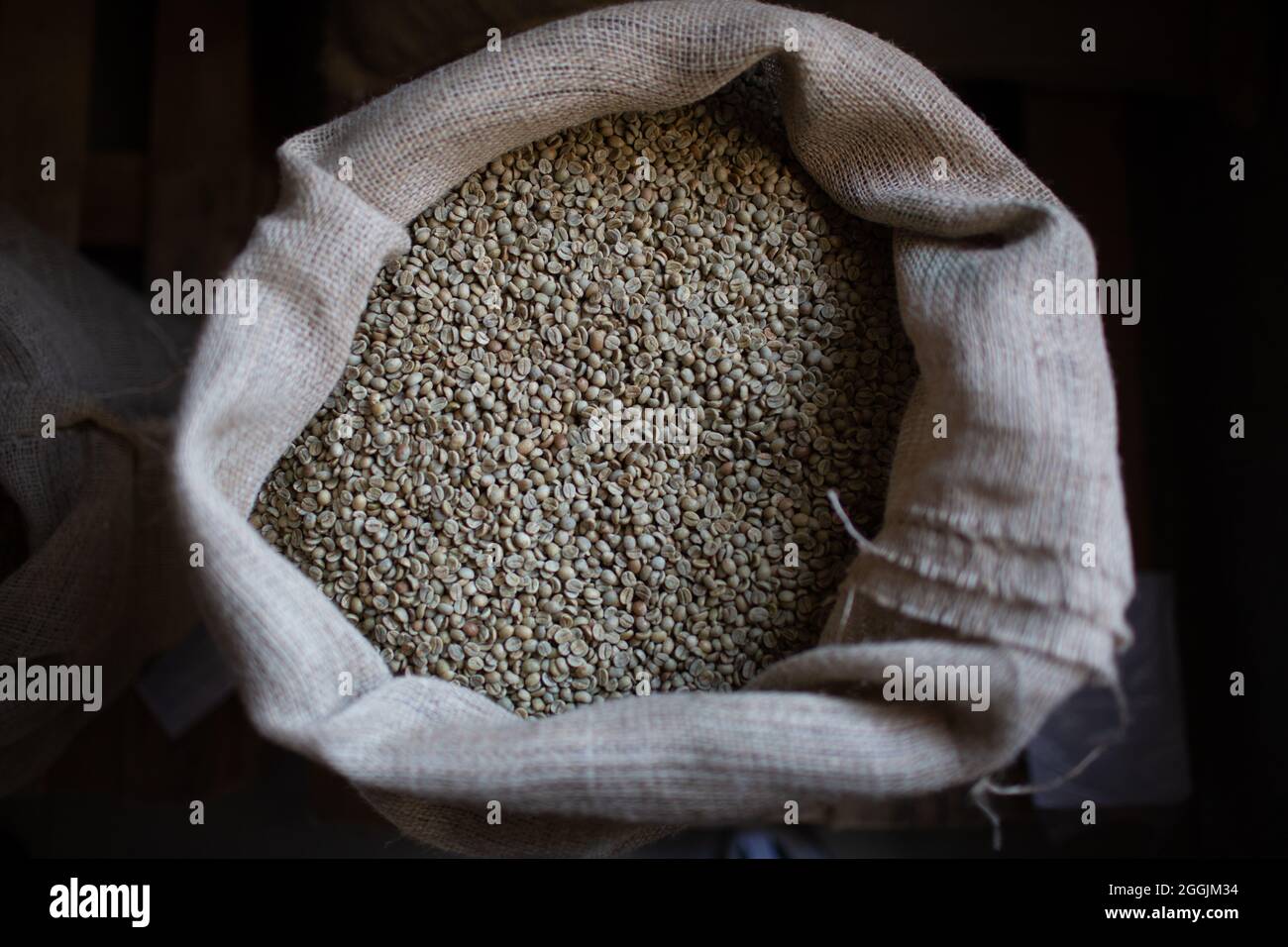 Green coffee beans in burlap sack at roaster company Stock Photo - Alamy