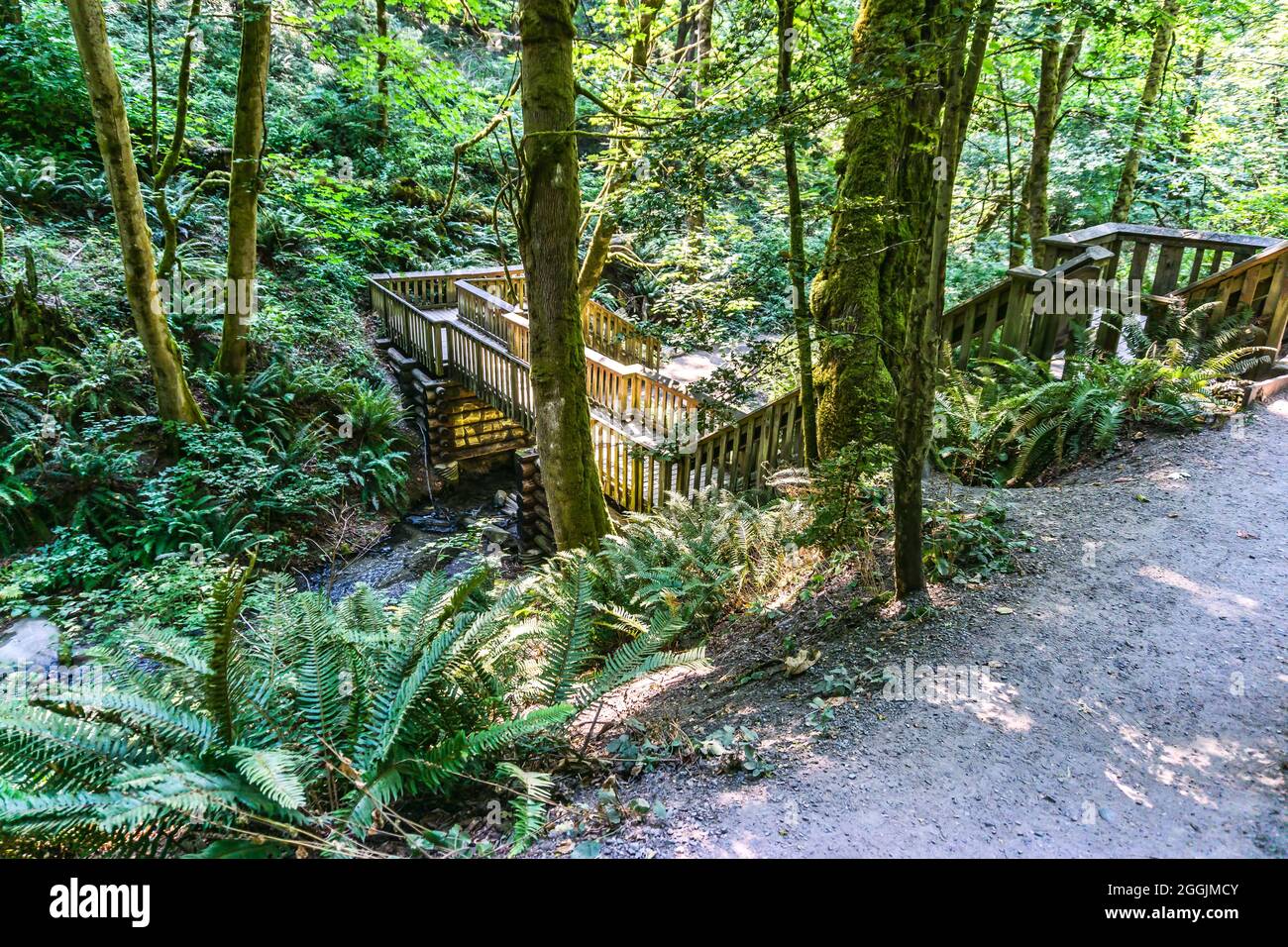 A woodend bridge spans a creek at Dash Point State Park in Washington State Stock Photo Alamy