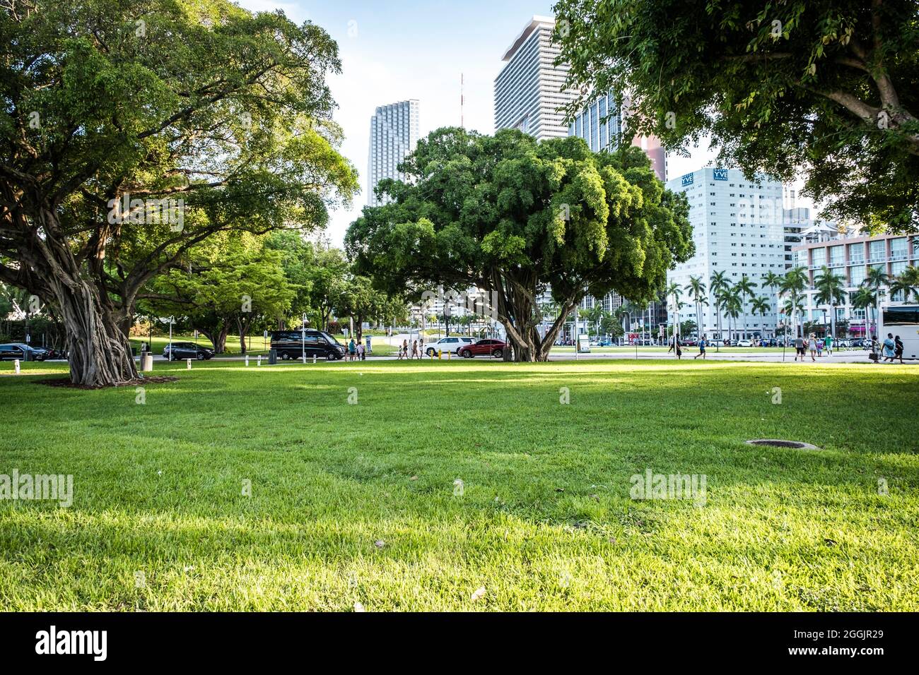 Bayside marketplace mall hires stock photography and images Alamy