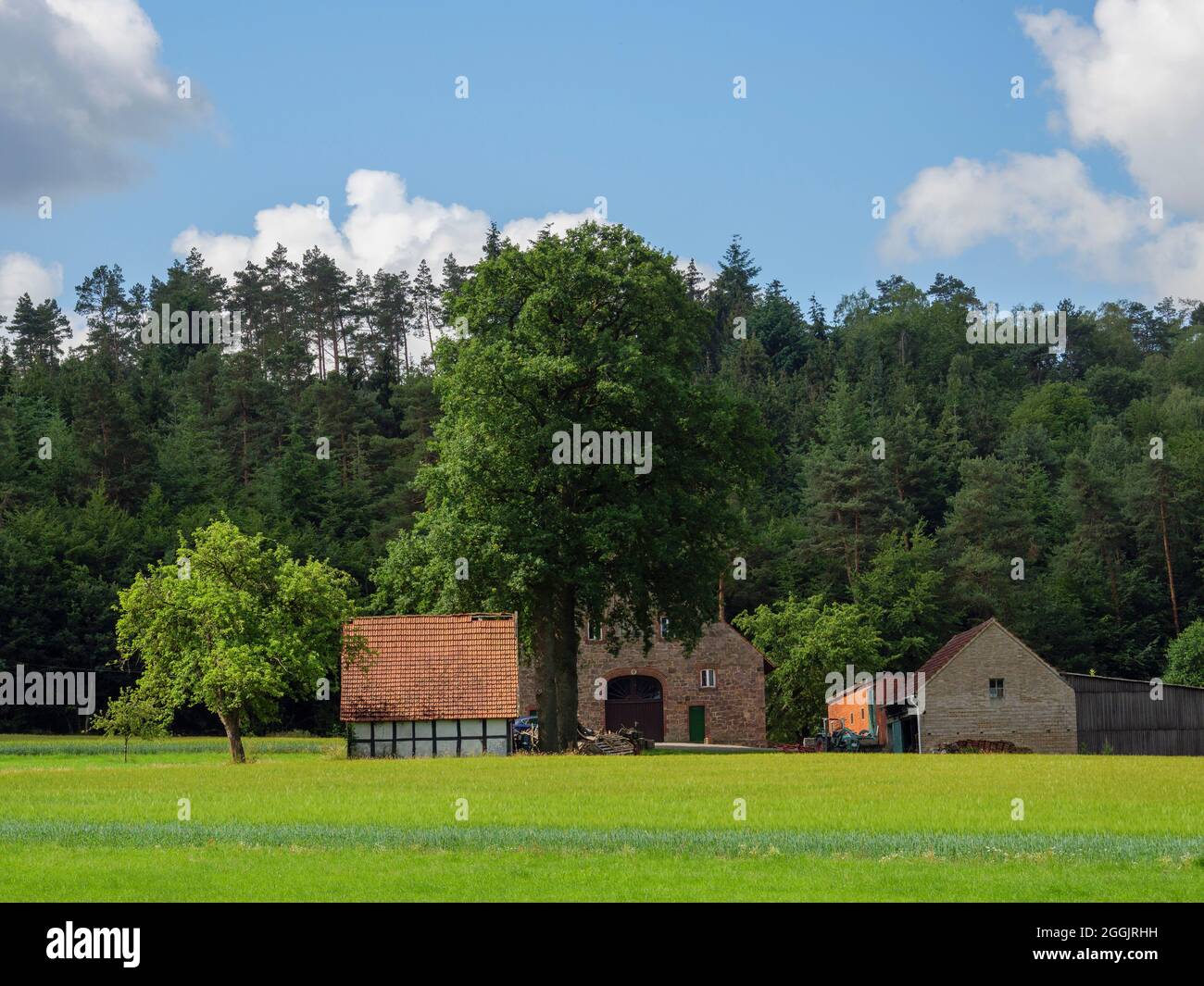 Homestead near Hagen aTW, Teutoburg Forest, Osnabrücker Land, Lower Saxony, Germany Stock Photo