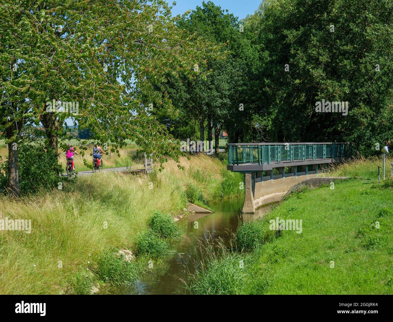 Bifurcation Green Hi-res Stock Photography And Images - Alamy