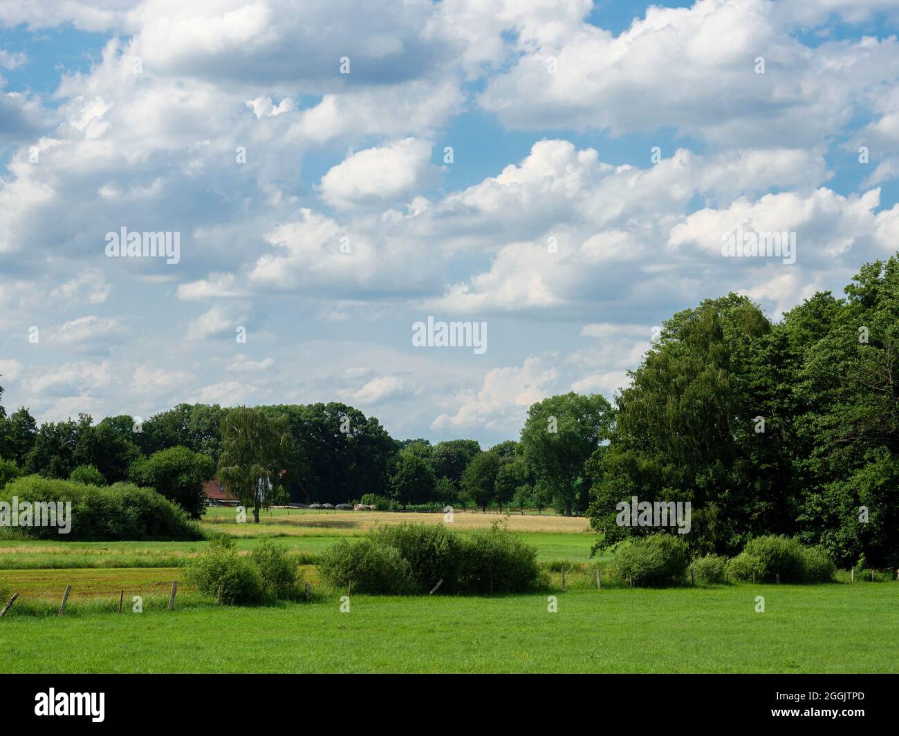 Landscape east of Belm, Osnabrück, Osnabrücker Land, Lower Saxony, Germany Stock Photo