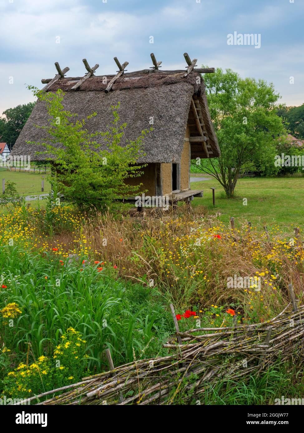 Iron Age House Darpvenne near Venne, Osnabruecker Land, Lower Saxony, Germany Stock Photo