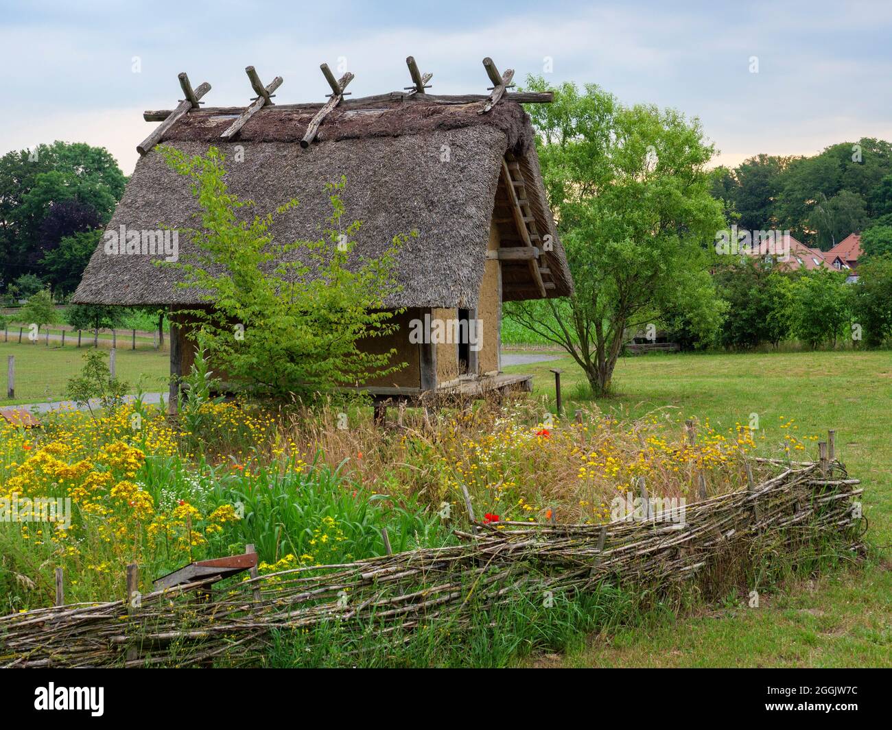 Iron Age House Darpvenne near Venne, Osnabruecker Land, Lower Saxony, Germany Stock Photo