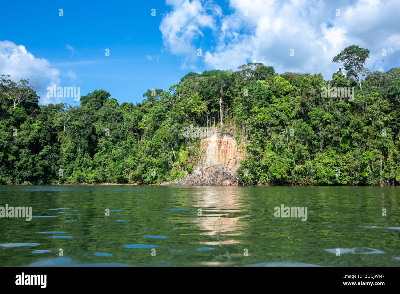 Tapajos national forest hires stock photography and images Alamy
