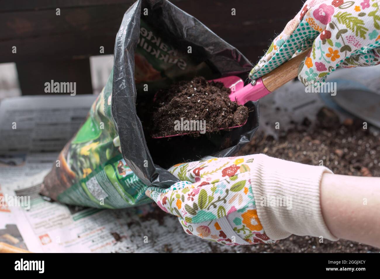 Repotting plant sequence indoor hi-res stock photography and images - Alamy