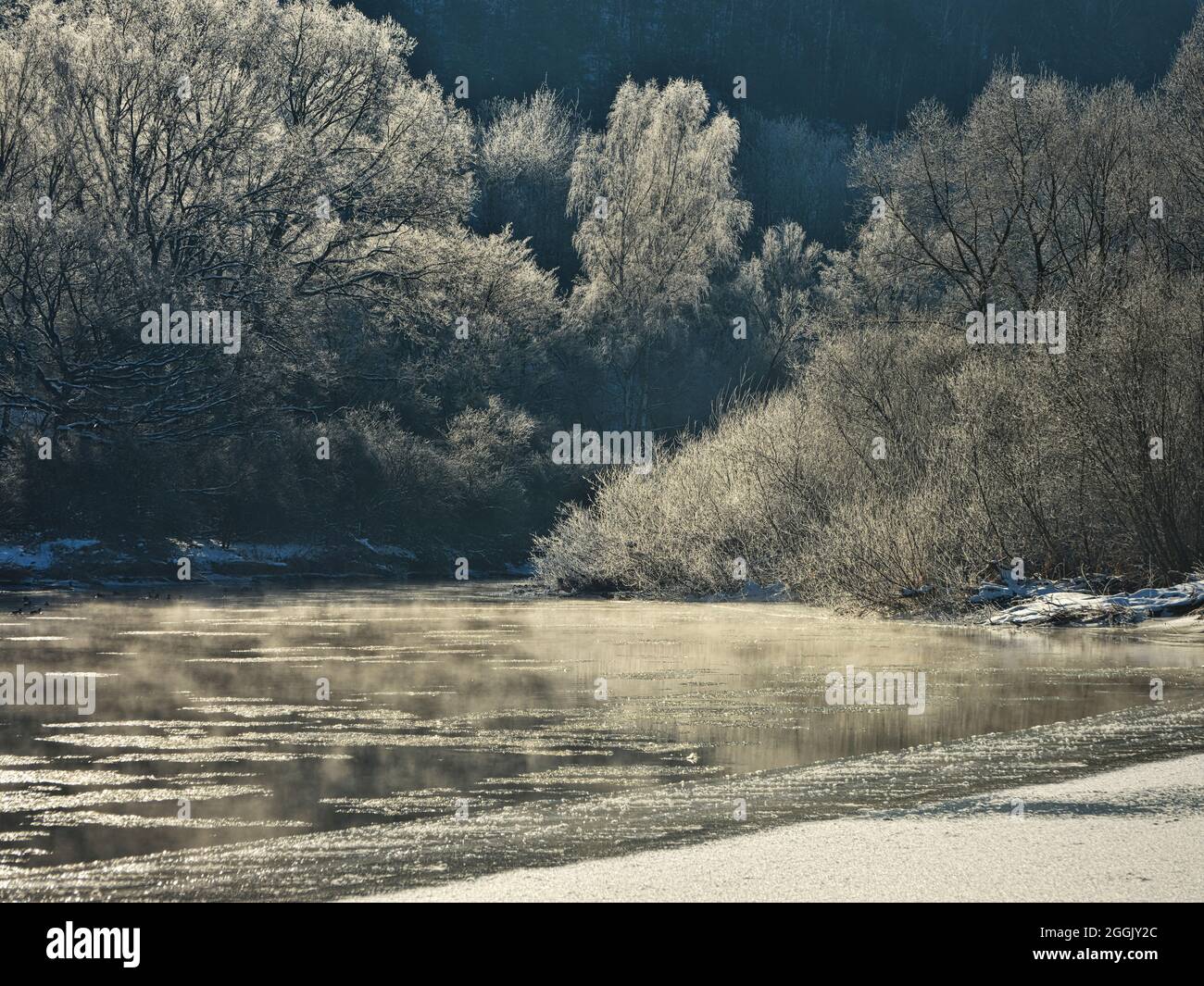 Europe, Germany, Hesse, Lahn-Dill-Bergland Nature Park, hoarfrost mood ...