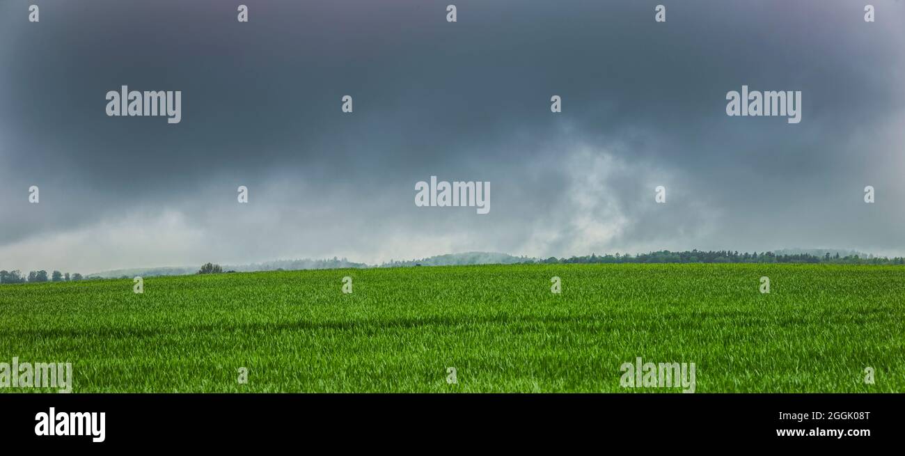 Dark storm clouds over a corn field Stock Photo
