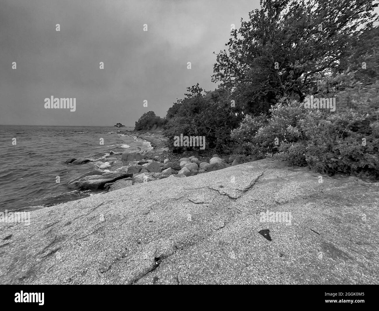 Rough, rocky Maine coastline on an overcast day on Flye Point, Brooklin Maine and near “The Lookout Lodge” Stock Photo