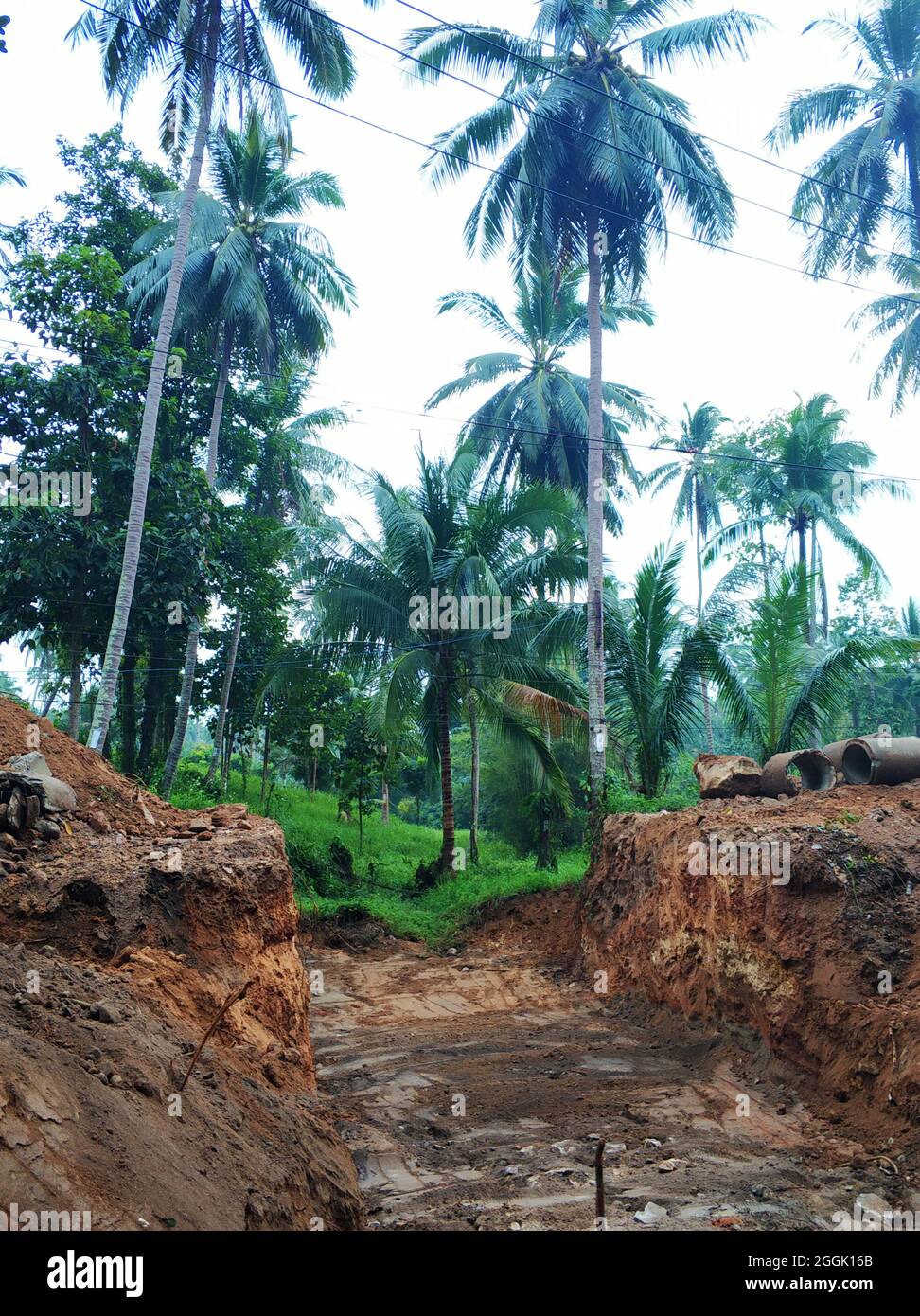 Construction in the jungle forest. Workers are digging a large foundation pit. Stock Photo