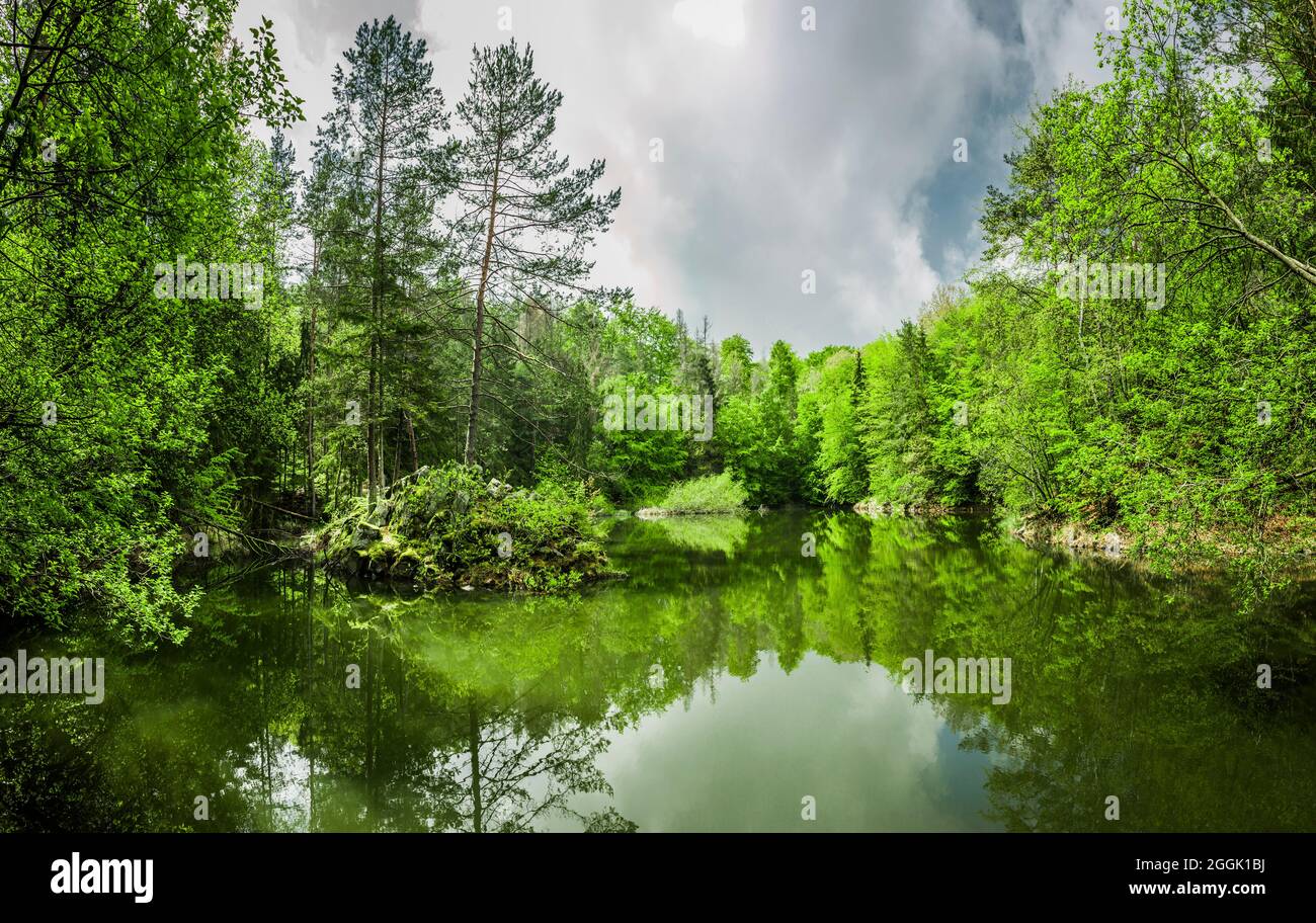 Water reflection in a beautiful forest lake Stock Photo