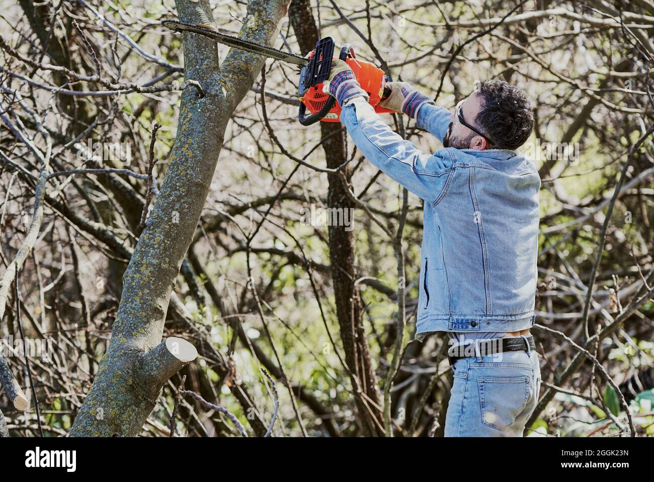 A boy with safety goggles and a chainsaw trims a tree in the forest