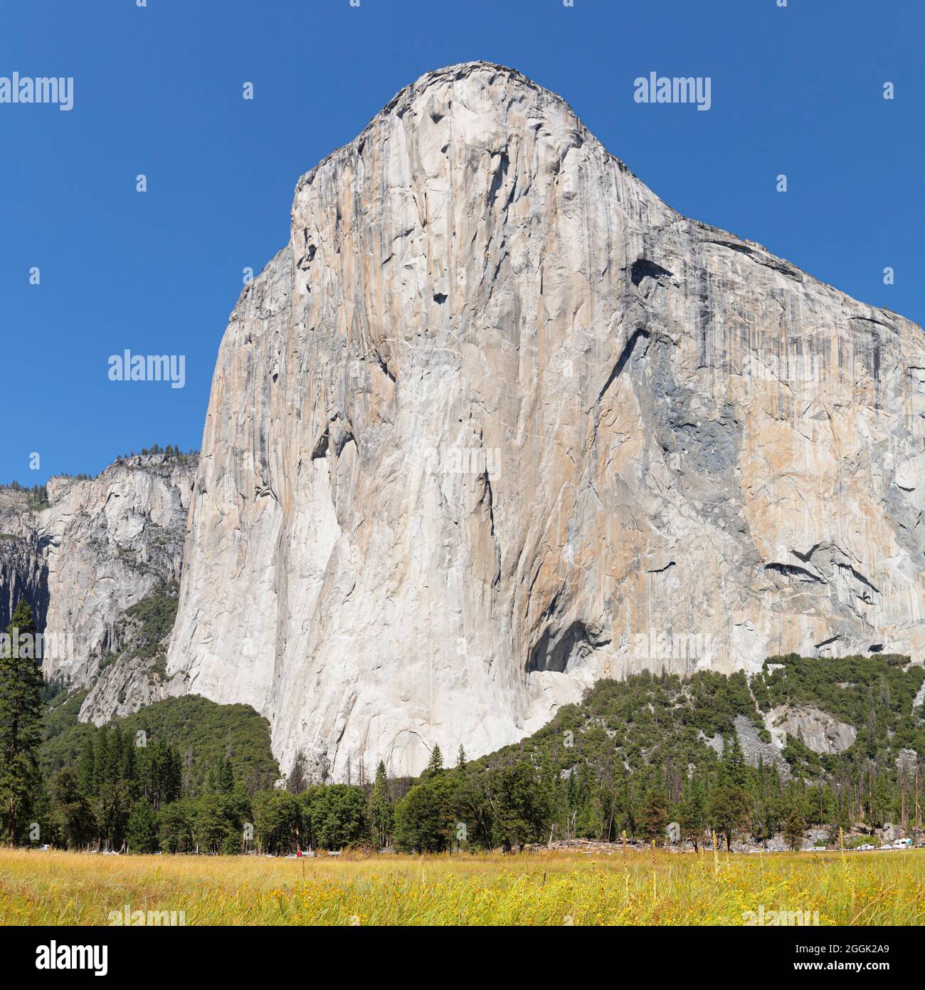 El Capitan, Vosemity Valley, Yosemite National Park, California, United States, USA, Stock Photo