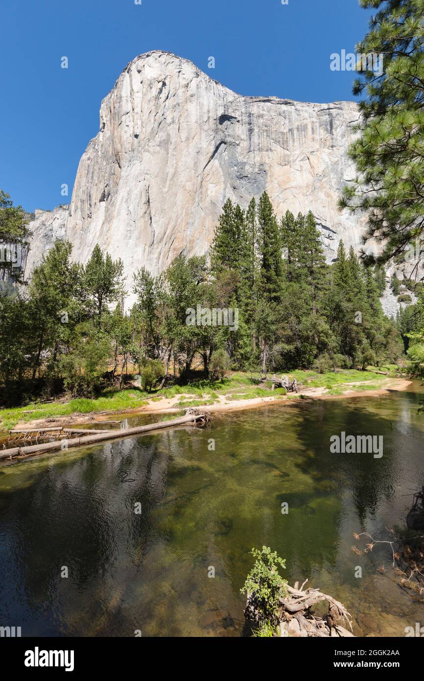 El Capitan, and Merced River, Yosemite National Park, California, United States, USA, Stock Photo