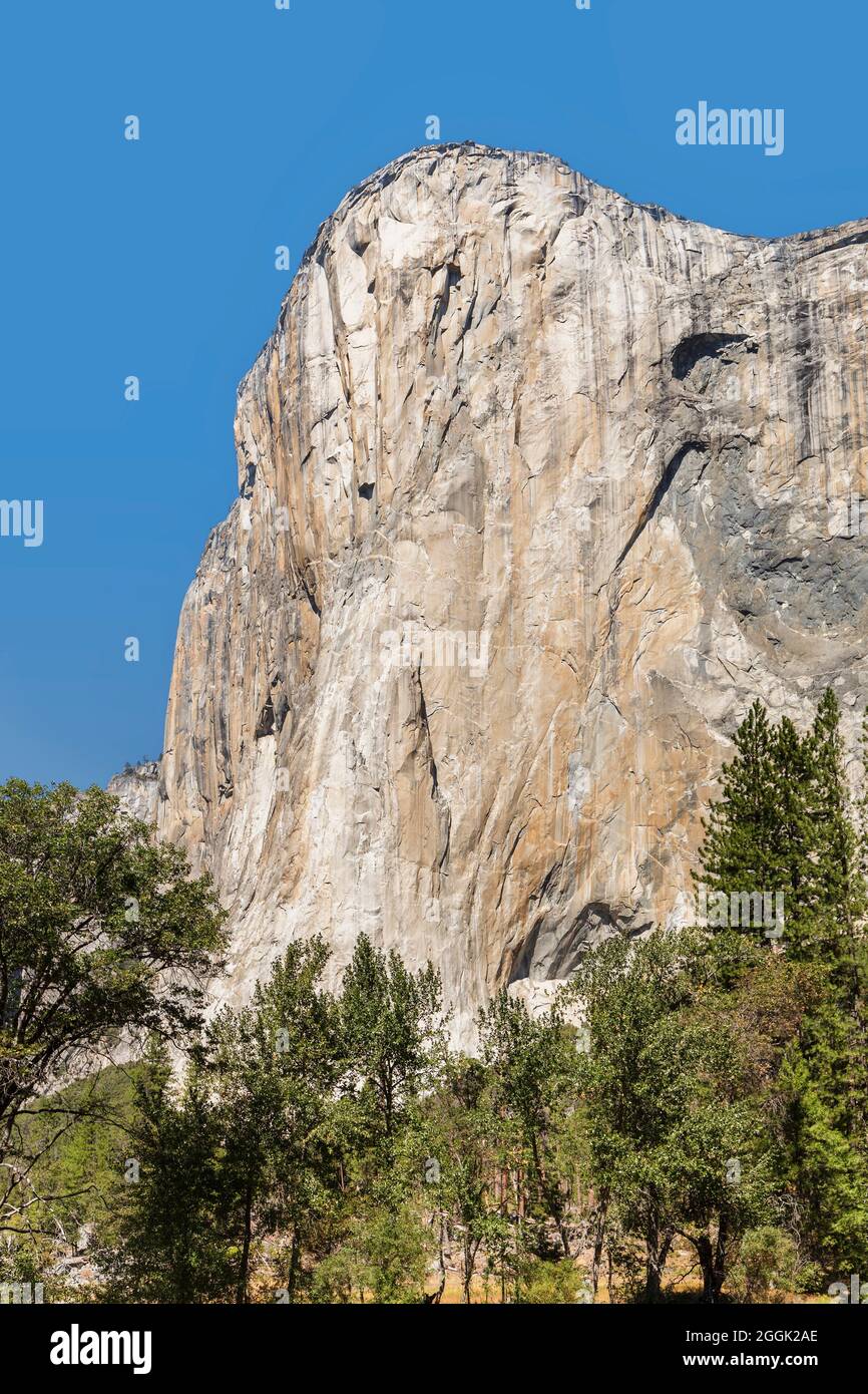 El Capitan, Vosemity Valley, Yosemite National Park, California, United States, USA, Stock Photo