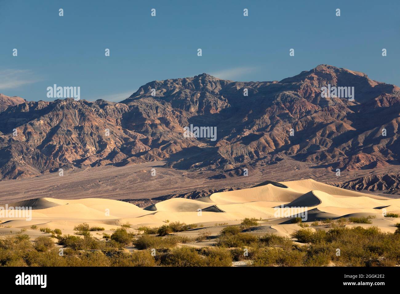 Mesquite Sand Dunes, Death Valley National Park, California, United States, USA, Stock Photo