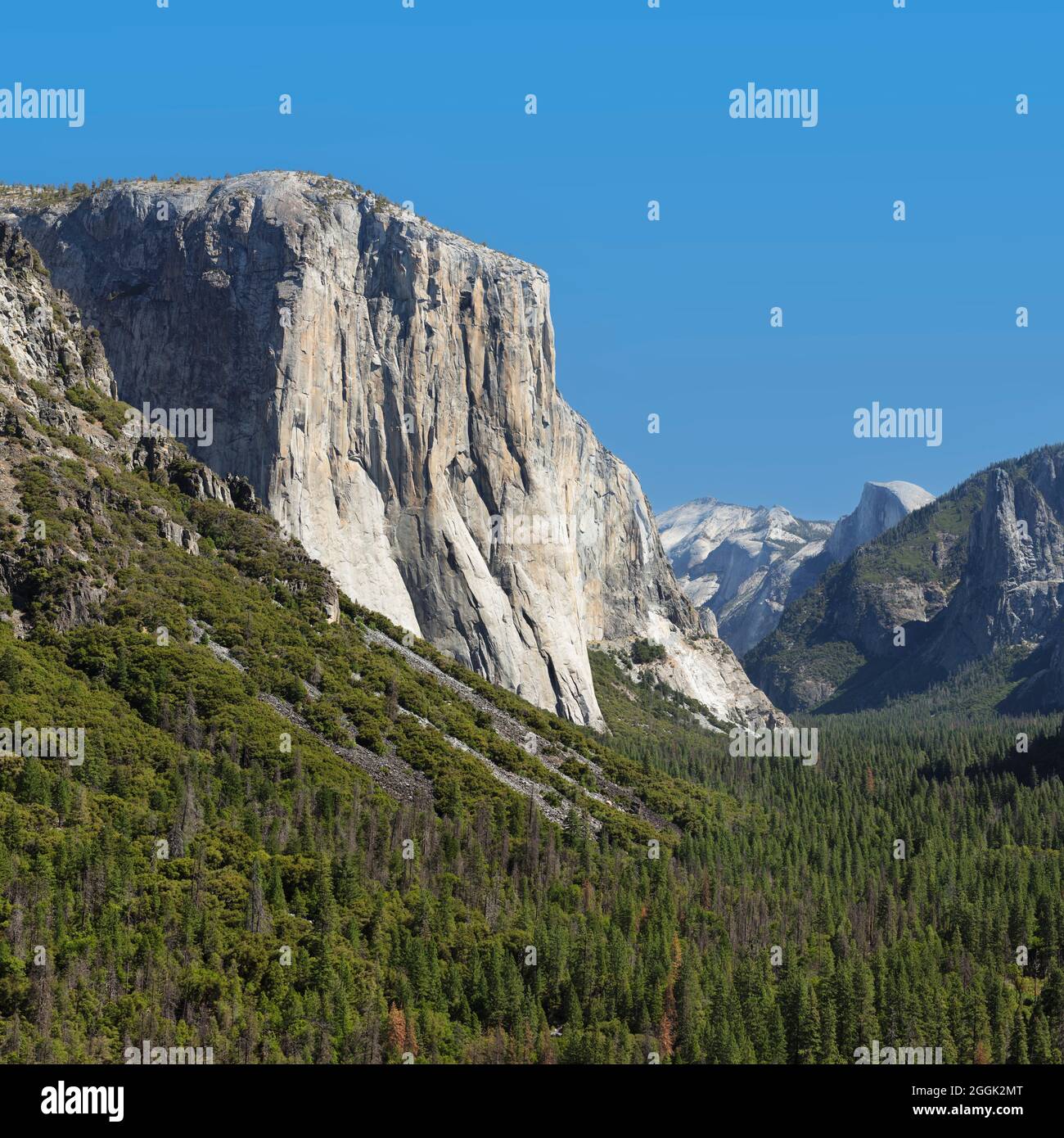 Tunnel View, Yosemite Valley with El Capitan, and Half Dome, Yosemite National Park, California, United States, USA, Stock Photo