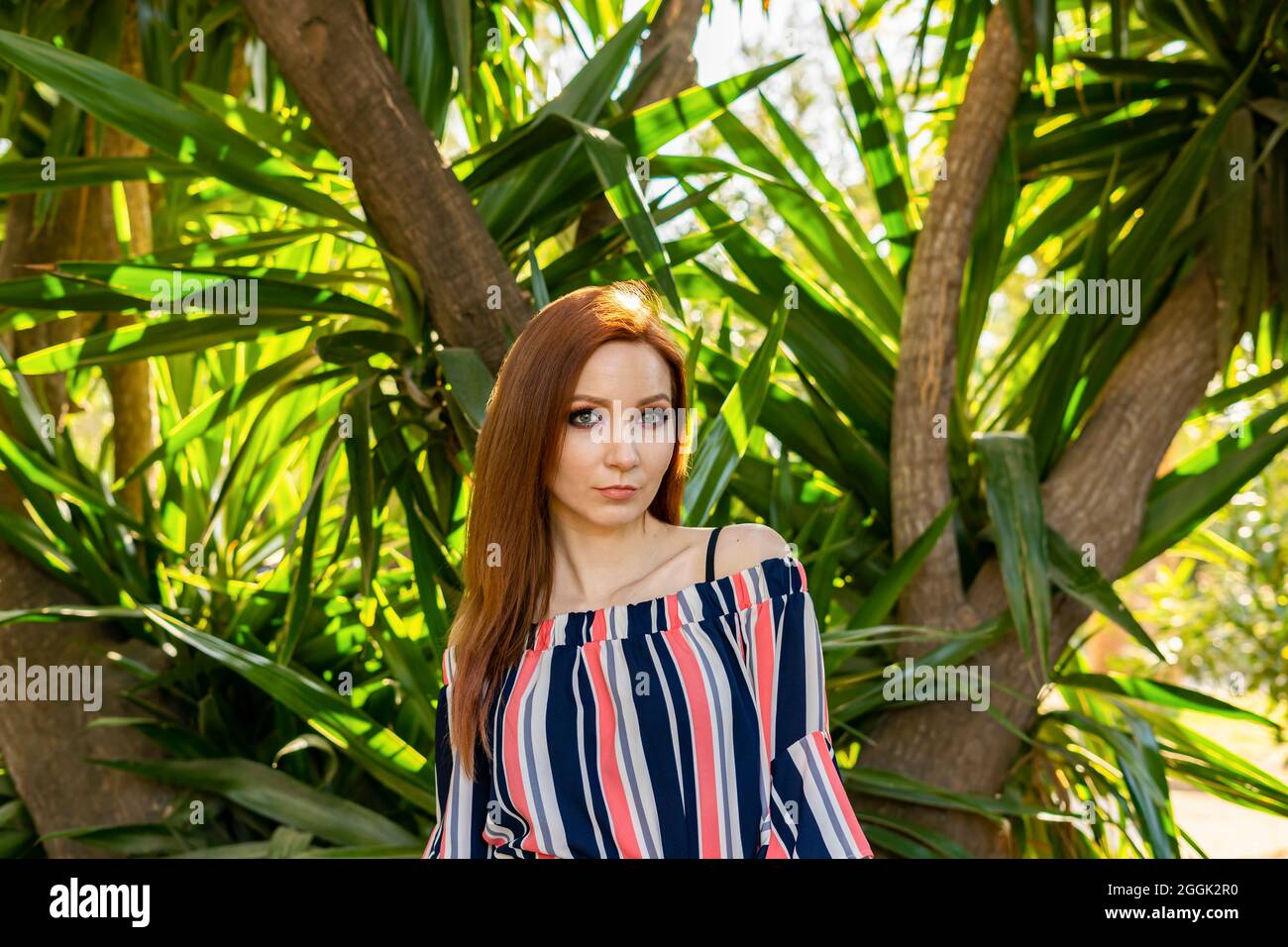 Beautiful young woman posing on palm tree tropical background Stock ...