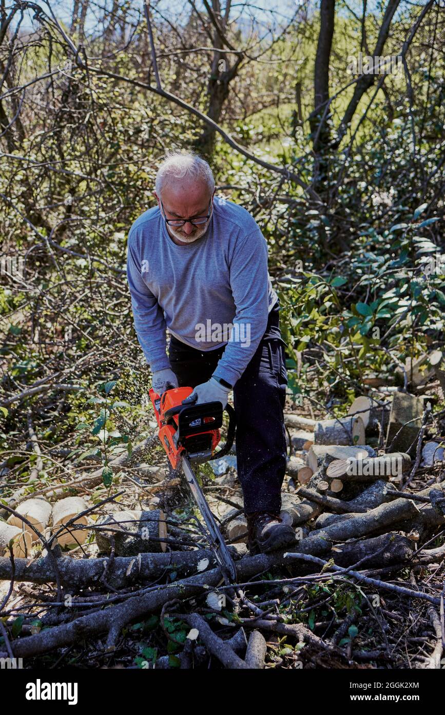 an older man is cutting firewood with a chainsaw Stock Photo