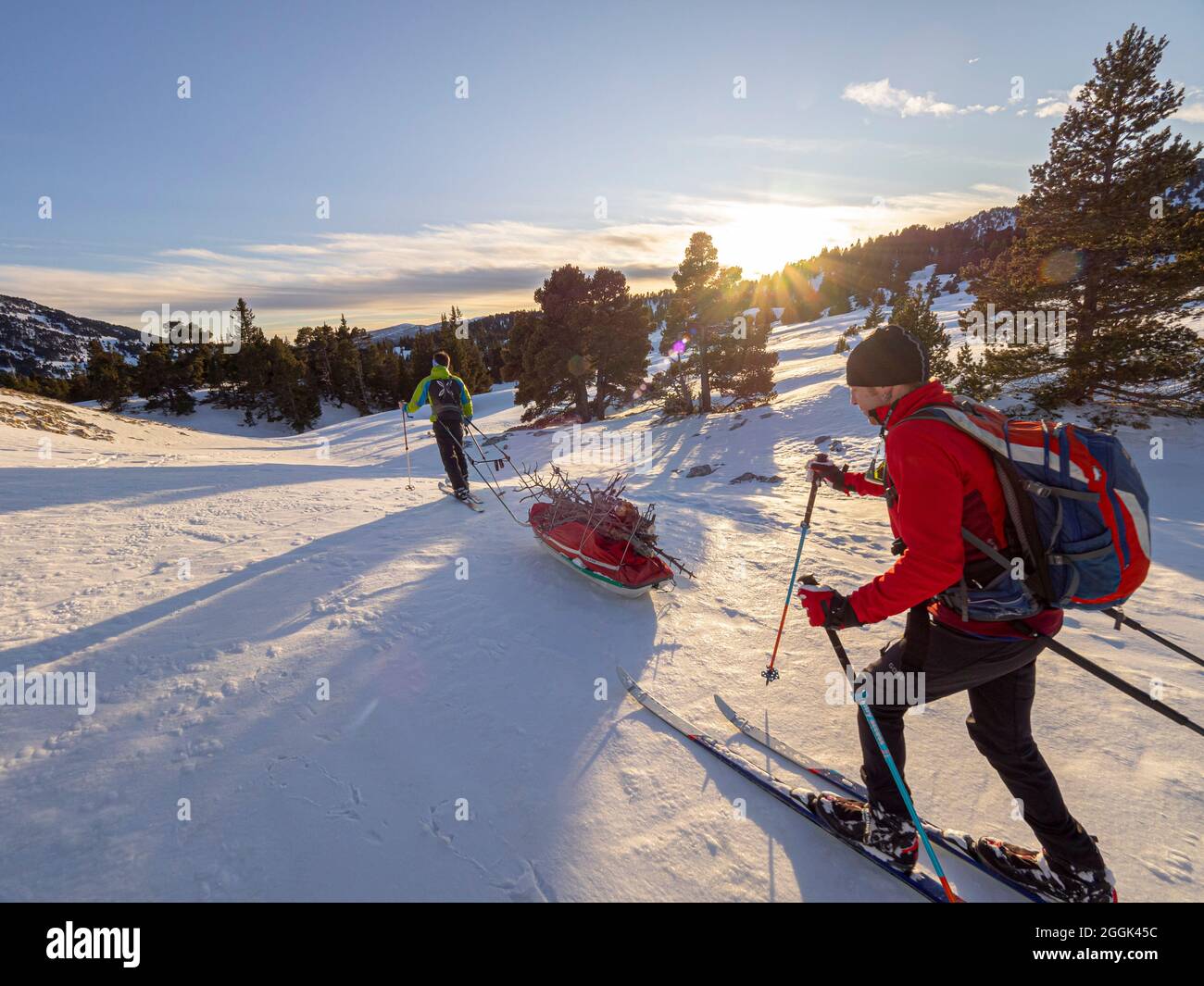 Two skiers on a ski tour with pulka material sledges through the nature reserve Réserve naturelle des Hauts Plateaux du Vercors Stock Photo